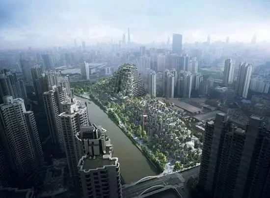 原来地板是需要保养的！怪不得我家地板褪色，后悔知道晚了！