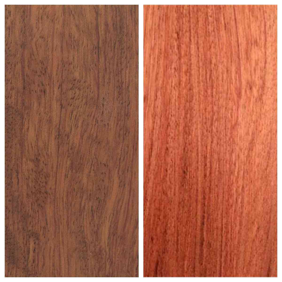 木材采购者必看：大巴花与小巴花核心差异对比(图1)