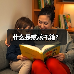 什么是熏蒸托箱?(图2) 什么是熏蒸托箱?(图2)