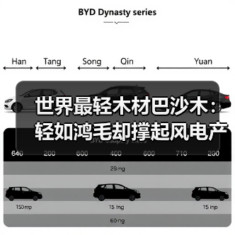世界最轻木材巴沙木:轻如鸿毛却撑起风电产业半边天(图3) 世界最轻木材巴沙木:轻如鸿毛却撑起风电产业半边天(图3)