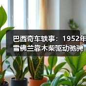 巴西奇车轶事:1952年雪佛兰靠木柴驱动驰骋半世纪(图2) 巴西奇车轶事:1952年雪佛兰靠木柴驱动驰骋半世纪(图2)