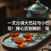 一文分清大巴花与小巴花!核心区别解析,采购避坑必看(图2) 一文分清大巴花与小巴花!核心区别解析,采购避坑必看(图2)