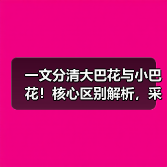 一文分清大巴花与小巴花!核心区别解析,采购避坑必看(图3) 一文分清大巴花与小巴花!核心区别解析,采购避坑必看(图3)