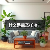 什么是熏蒸托箱?(图4) 什么是熏蒸托箱?(图4)