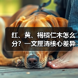 玄熵富翔地板之家 - 高品质地板销售与安装服务