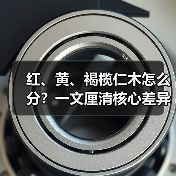 红、黄、褐榄仁木怎么分？一文厘清核心差异与应用边界（图4）