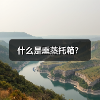 什么是熏蒸托箱？（图4）