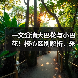玄熵富翔地板之家 - 高品质地板销售与安装服务