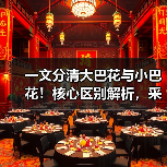 一文分清大巴花与小巴花！核心区别解析，采购避坑必看（图3）