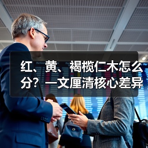 红、黄、褐榄仁木怎么分？一文厘清核心差异与应用边界（图4）