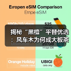 揭秘“黑檀”平替优选：风车木为何成大板茶桌高端材质新宠？（图4）