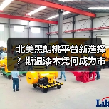 北美黑胡桃平替新选择?斯温漆木凭何成为市场新宠(图2) 北美黑胡桃平替新选择?斯温漆木凭何成为市场新宠(图2)