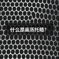 什么是熏蒸托箱?(图4) 什么是熏蒸托箱?(图4)