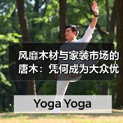 风靡木材与家装市场的唐木：凭何成为大众优选材种？（图3）