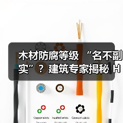 木材防腐等级 “名不副实”?建筑专家揭秘 H3 失效背后的设计危机(图4) 木材防腐等级 “名不副实”?建筑专家揭秘 H3 失效背后的设计危机(图4)