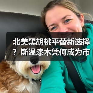 北美黑胡桃平替新选择？斯温漆木凭何成为市场新宠（图4）