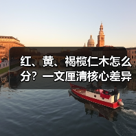 红、黄、褐榄仁木怎么分?一文厘清核心差异与应用边界(图3) 红、黄、褐榄仁木怎么分?一文厘清核心差异与应用边界(图3)