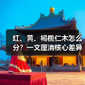 红、黄、褐榄仁木怎么分?一文厘清核心差异与应用边界(图4) 红、黄、褐榄仁木怎么分?一文厘清核心差异与应用边界(图4)