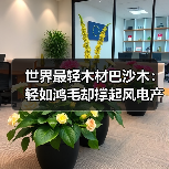 世界最轻木材巴沙木：轻如鸿毛却撑起风电产业半边天（图2）