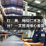 红、黄、褐榄仁木怎么分?一文厘清核心差异与应用边界(图4) 红、黄、褐榄仁木怎么分?一文厘清核心差异与应用边界(图4)