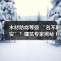木材防腐等级 “名不副实”?建筑专家揭秘 H3 失效背后的设计危机(图3) 木材防腐等级 “名不副实”?建筑专家揭秘 H3 失效背后的设计危机(图3)