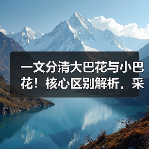一文分清大巴花与小巴花！核心区别解析，采购避坑必看（图4）