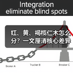 红、黄、褐榄仁木怎么分？一文厘清核心差异与应用边界（图3）