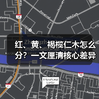 红、黄、褐榄仁木怎么分?一文厘清核心差异与应用边界(图2) 红、黄、褐榄仁木怎么分?一文厘清核心差异与应用边界(图2)
