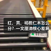 红、黄、褐榄仁木怎么分?一文厘清核心差异与应用边界(图4) 红、黄、褐榄仁木怎么分?一文厘清核心差异与应用边界(图4)