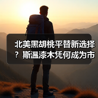 北美黑胡桃平替新选择？斯温漆木凭何成为市场新宠（图3）