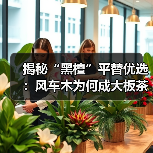 揭秘“黑檀”平替优选:风车木为何成大板茶桌高端材质新宠?(图4) 揭秘“黑檀”平替优选:风车木为何成大板茶桌高端材质新宠?(图4)