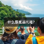 什么是熏蒸托箱?(图4) 什么是熏蒸托箱?(图4)