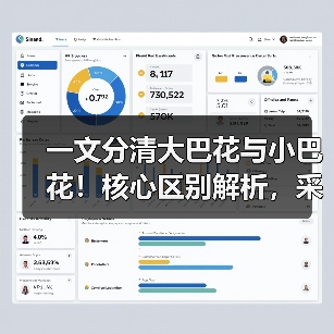 一文分清大巴花与小巴花!核心区别解析,采购避坑必看(图3) 一文分清大巴花与小巴花!核心区别解析,采购避坑必看(图3)