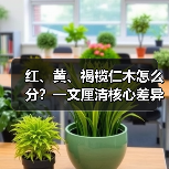 玄熵富翔地板之家 - 高品质地板销售与安装服务