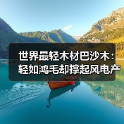 世界最轻木材巴沙木：轻如鸿毛却撑起风电产业半边天（图4）
