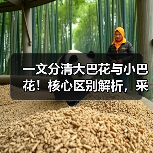 玄熵富翔地板之家 - 高品质地板销售与安装服务