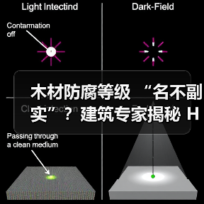 木材防腐等级 “名不副实”？建筑专家揭秘 H3 失效背后的设计危机（图2）