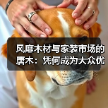 风靡木材与家装市场的唐木：凭何成为大众优选材种？（图4）