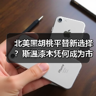 北美黑胡桃平替新选择？斯温漆木凭何成为市场新宠（图4）