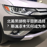北美黑胡桃平替新选择？斯温漆木凭何成为市场新宠（图2）