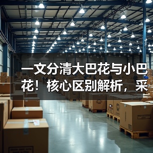 一文分清大巴花与小巴花！核心区别解析，采购避坑必看（图3）