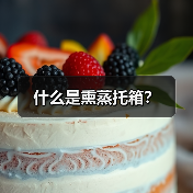 什么是熏蒸托箱?(图4) 什么是熏蒸托箱?(图4)