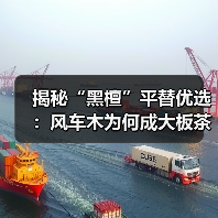 揭秘“黑檀”平替优选:风车木为何成大板茶桌高端材质新宠?(图2) 揭秘“黑檀”平替优选:风车木为何成大板茶桌高端材质新宠?(图2)