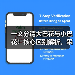 一文分清大巴花与小巴花!核心区别解析,采购避坑必看(图2) 一文分清大巴花与小巴花!核心区别解析,采购避坑必看(图2)