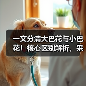 一文分清大巴花与小巴花!核心区别解析,采购避坑必看(图4) 一文分清大巴花与小巴花!核心区别解析,采购避坑必看(图4)