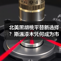 北美黑胡桃平替新选择?斯温漆木凭何成为市场新宠(图4) 北美黑胡桃平替新选择?斯温漆木凭何成为市场新宠(图4)
