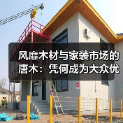 风靡木材与家装市场的唐木:凭何成为大众优选材种?(图3) 风靡木材与家装市场的唐木:凭何成为大众优选材种?(图3)
