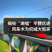 揭秘“黑檀”平替优选：风车木为何成大板茶桌高端材质新宠？（图3）