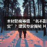 木材防腐等级 “名不副实”?建筑专家揭秘 H3 失效背后的设计危机(图2) 木材防腐等级 “名不副实”?建筑专家揭秘 H3 失效背后的设计危机(图2)