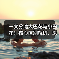 一文分清大巴花与小巴花!核心区别解析,采购避坑必看(图2) 一文分清大巴花与小巴花!核心区别解析,采购避坑必看(图2)